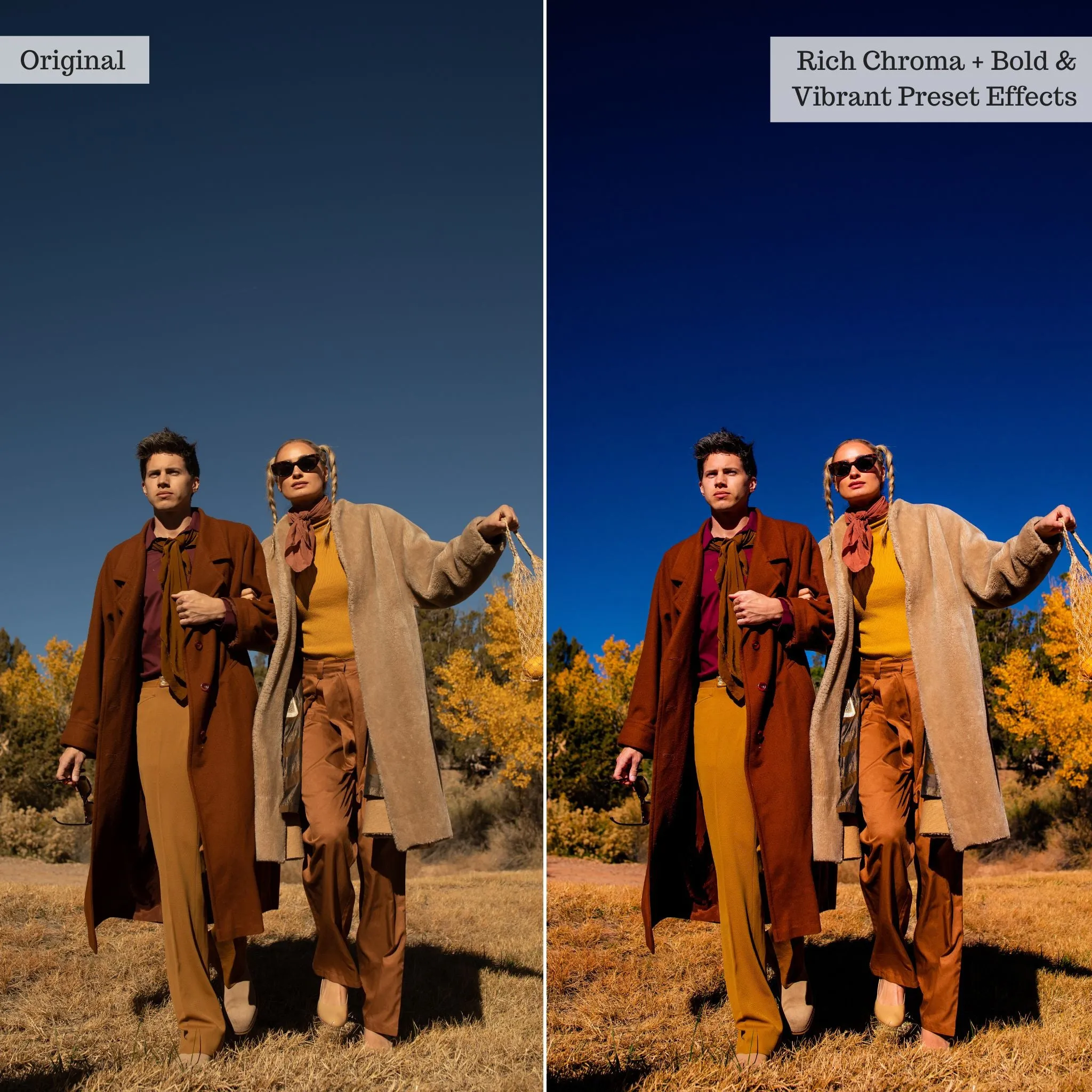 Bold & Vibrant 2.0 Lightroom Presets & AI Powered Tools – Desktop & Mobile